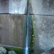Image for article titled Massive Leaks Are Rumors, Says Marketing Company Responsible